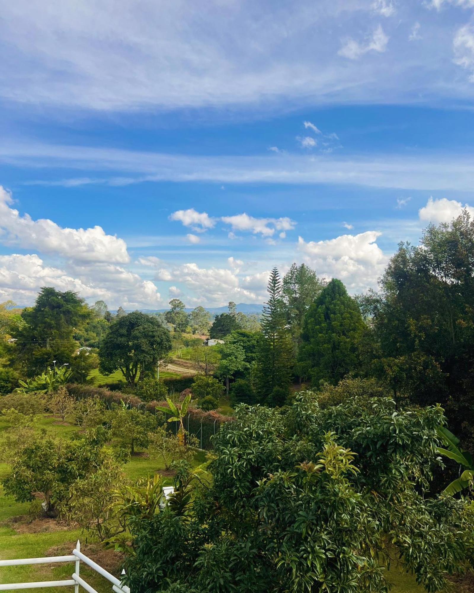 Finca Hotel 12 Palmas- Aeropuerto Jmc Rionegro Eksteriør billede